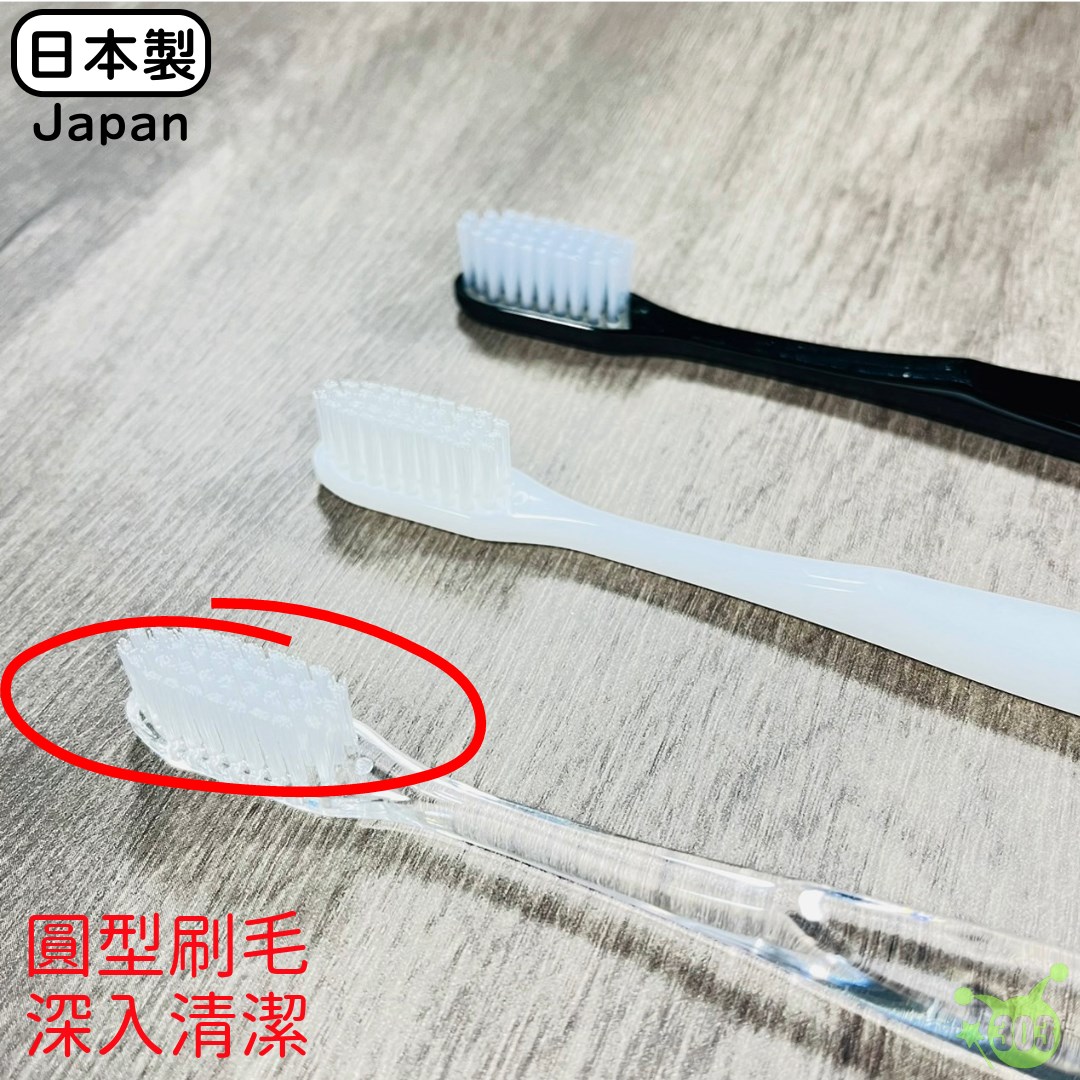 【Kyowa】 牙刷標準3支   4969757162156