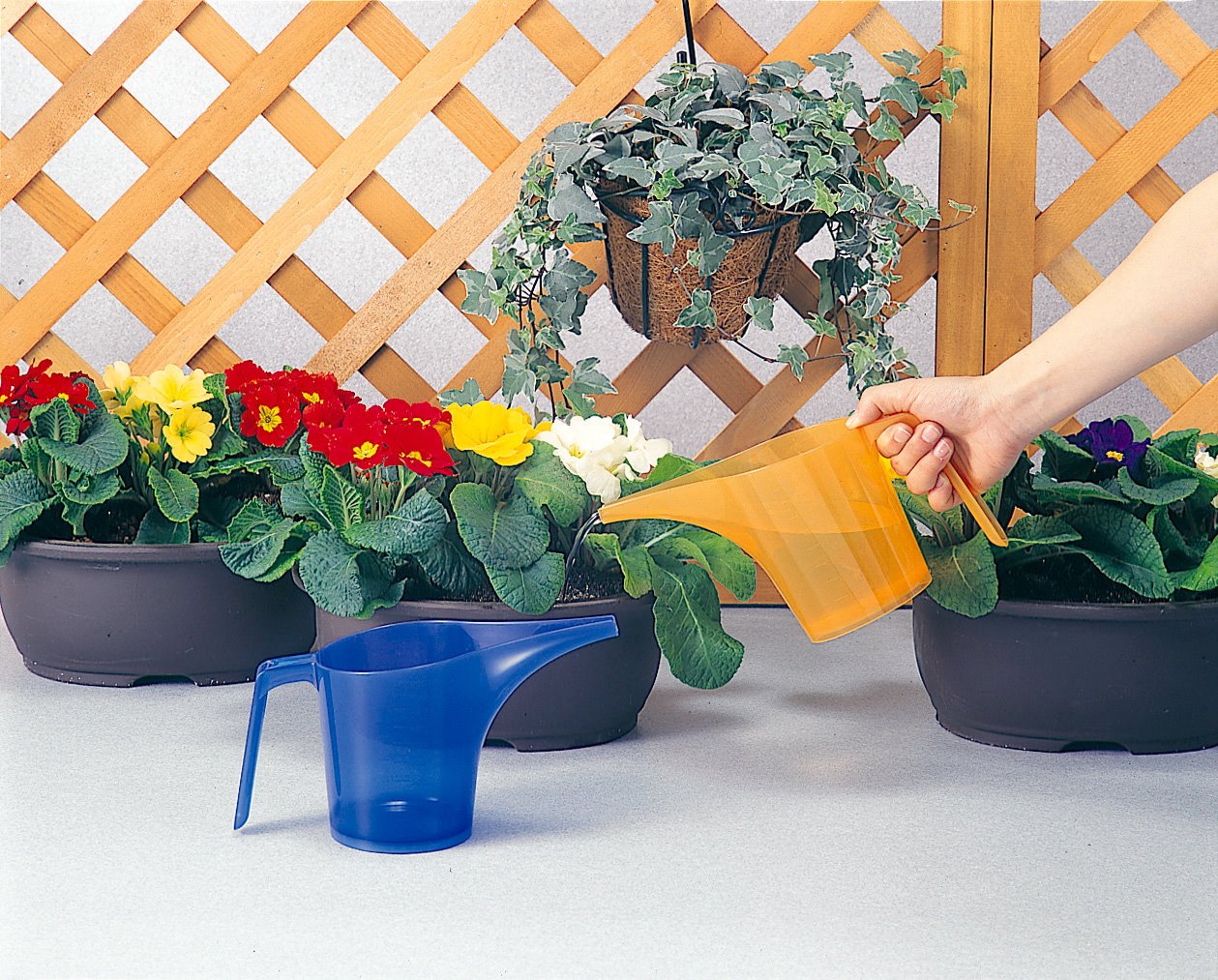 日本製  inomata  7201 澆花器-桔   4905596720133