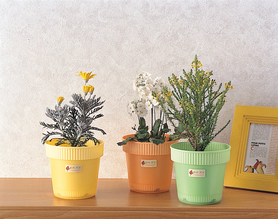 日本製  inomata 7081雙層花盆~綠/-桔-/黃