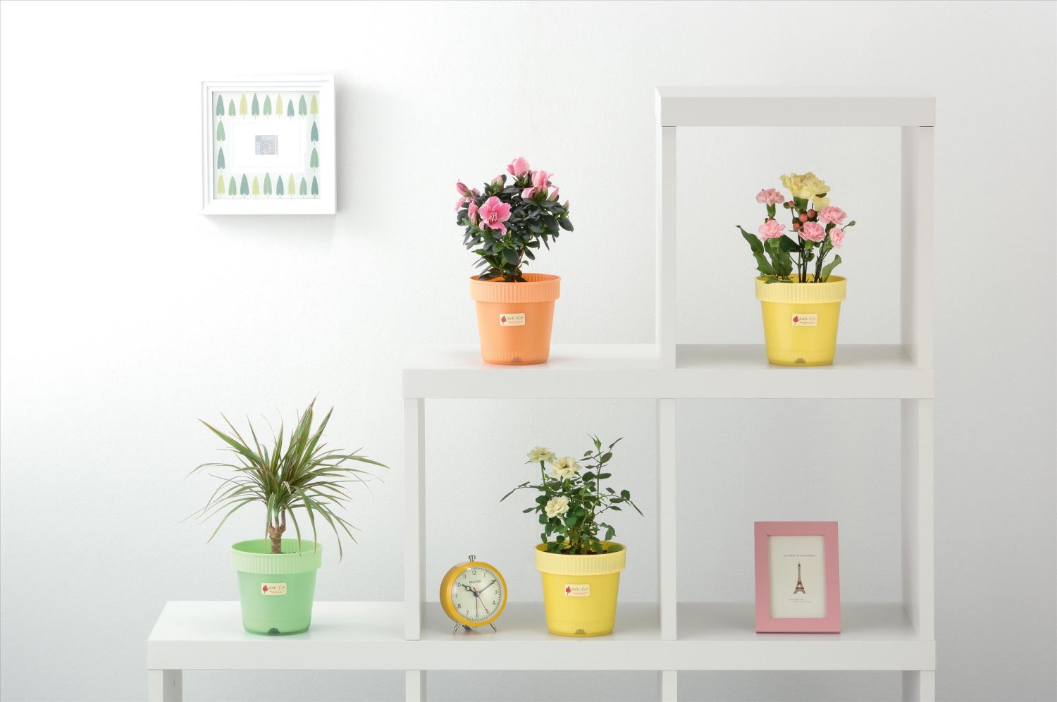 日本製  inomata 7081雙層花盆~綠/-桔-/黃